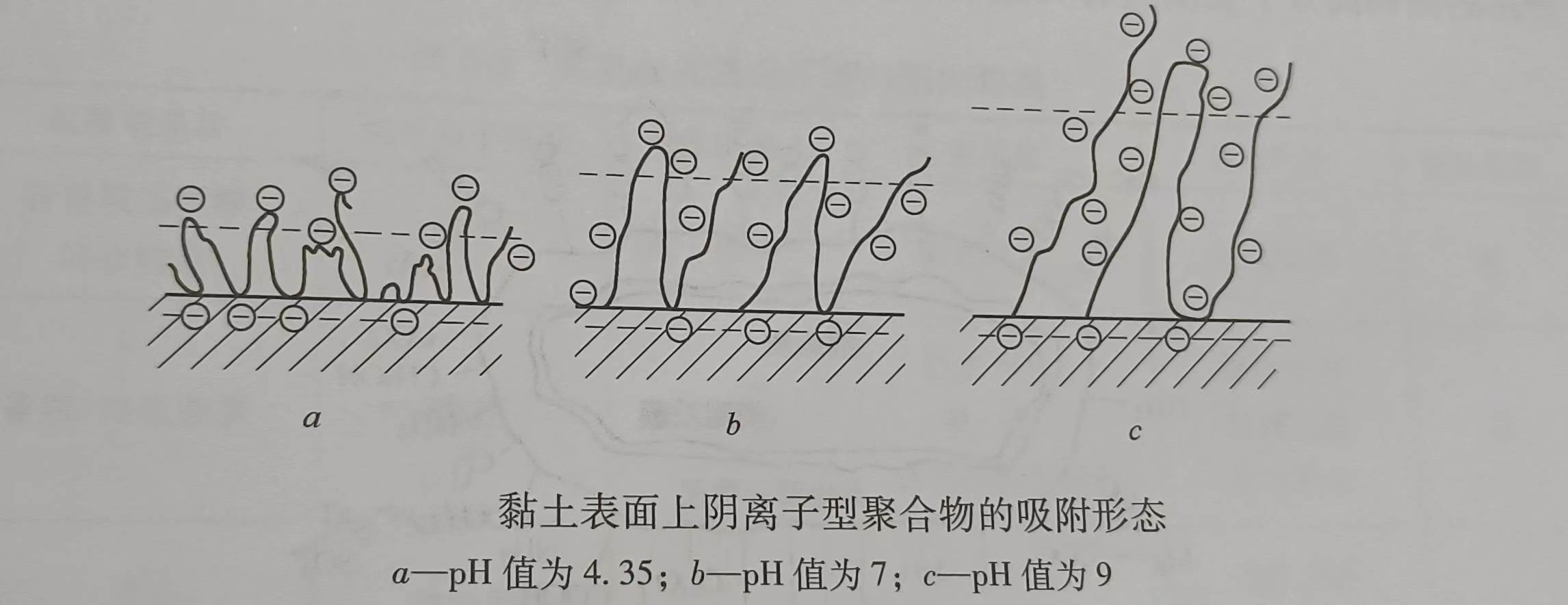 阴离子型聚合物的絮凝机理（了解什么是阴离子型聚合物的絮凝机理）