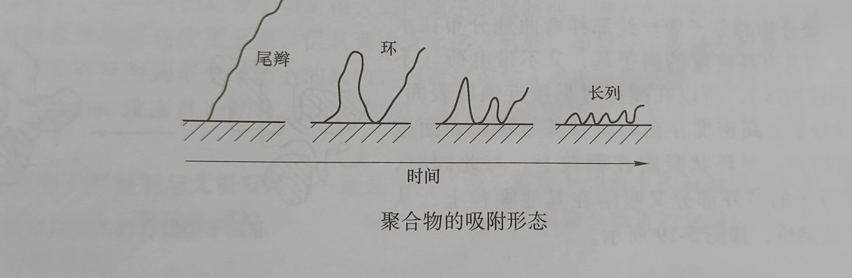 絮凝剂的吸附和架桥作用（絮凝剂的架桥是什么？有什么作用？）