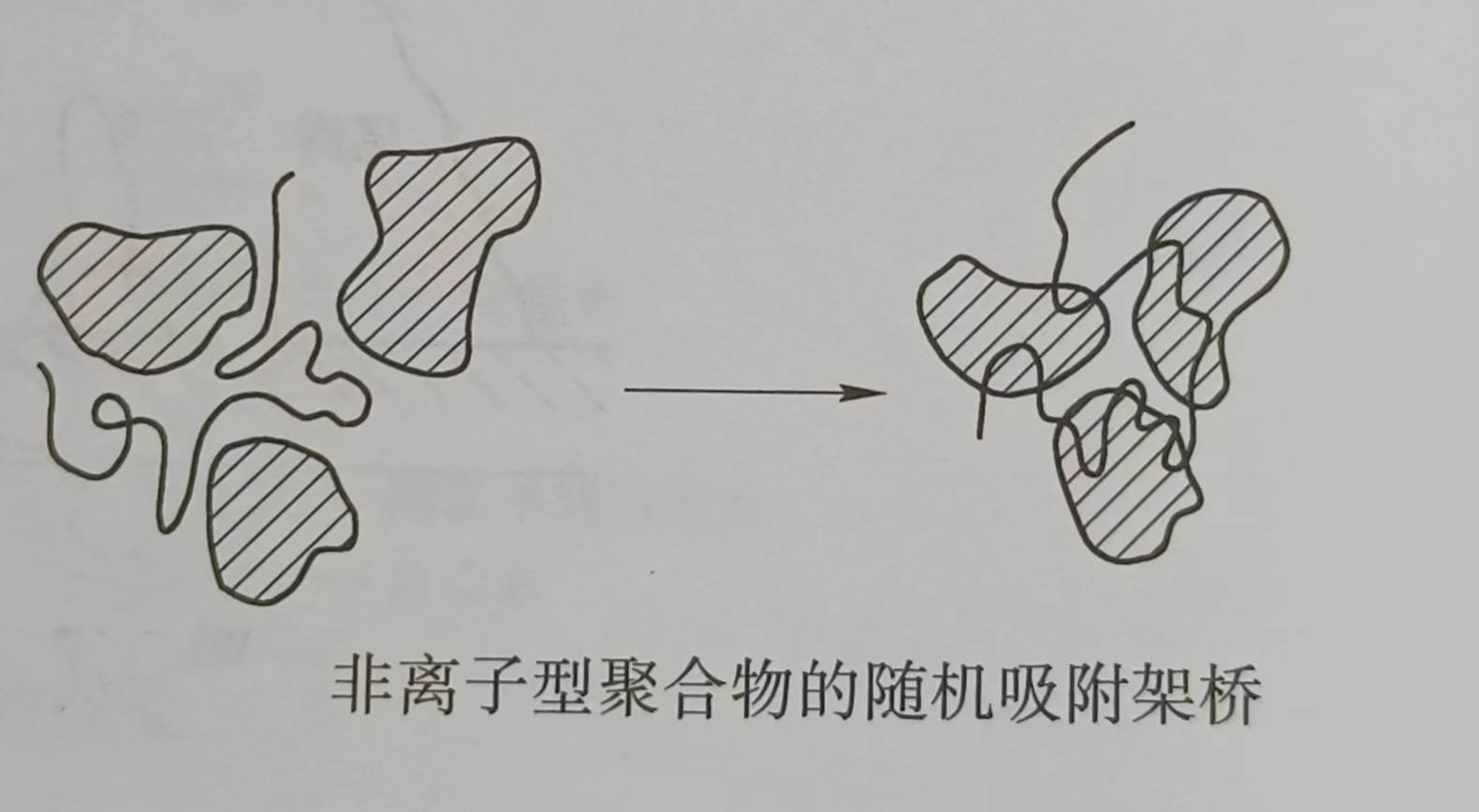 非离子型聚合物的絮凝机理（什么是非离子型聚合物的絮凝机理）