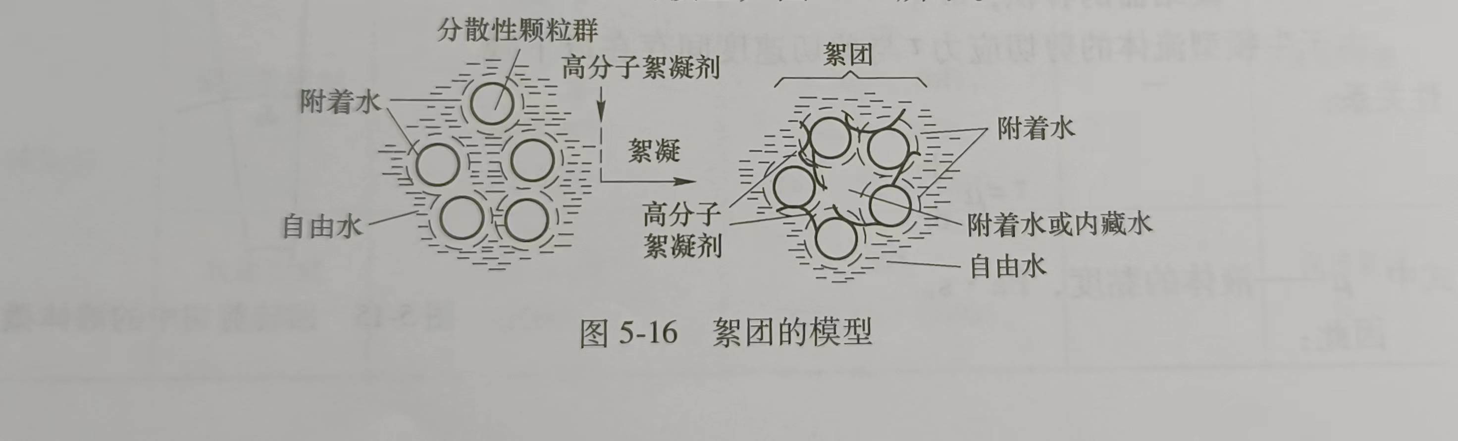 絮凝的机理（絮凝的作用有哪些）