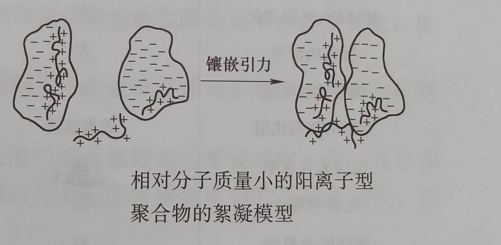 相对分子质量小的阳离子型聚合物的絮凝机理