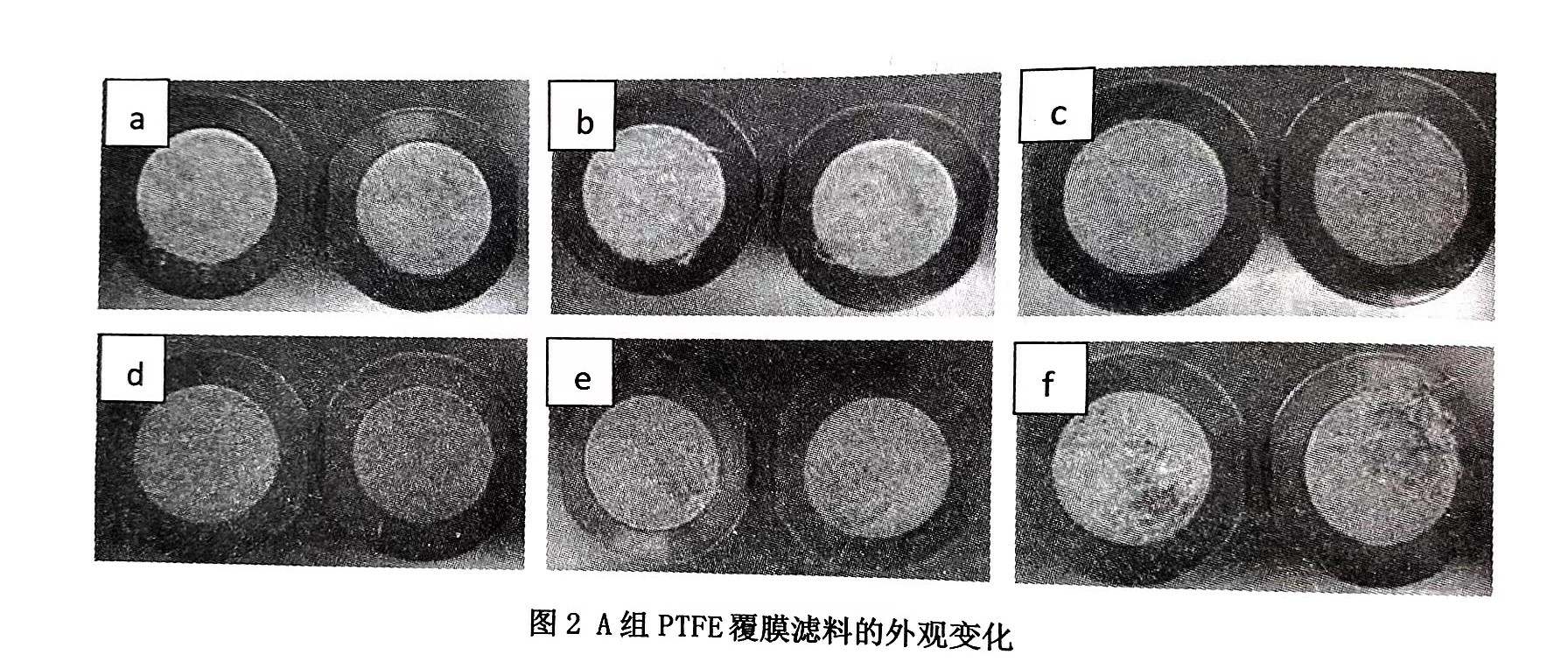 垃圾焚烧用PTFE滤料耐磨性能研究的结果与讨论（垃圾焚烧用聚四氟乙烯滤料耐磨性能的实验结果）