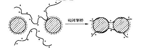 图6-21高分子量阳离子型聚合物的吸附架桥